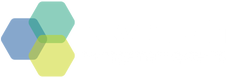 Revision Management Systems